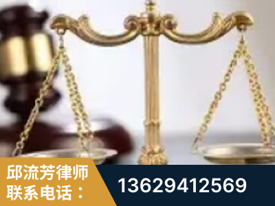 海安-委托诉讼代理人出庭